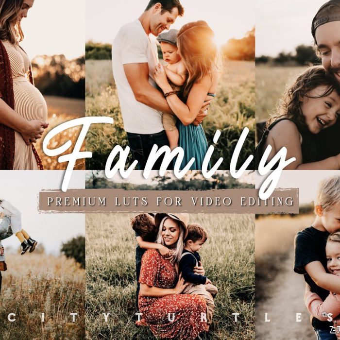 高端自然户外家庭人像高级视频调色LUT预设-电影短片颜色分级LUT预设