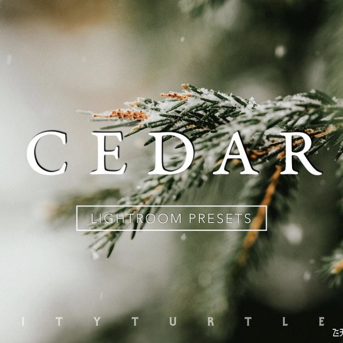 [人像LR预设]微妙喜怒无常电影情绪色彩Lightroom预设 CEDAR Subtle Moody Lightroom Presets