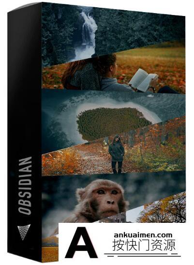 电影工业级别滤镜黑曜石LUT预设-30个专业和电影视频滤镜