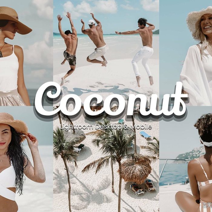 [人像LR预设]温暖皮肤和美学人像Lightroom预设滤镜 Coconut Lightroom Presets