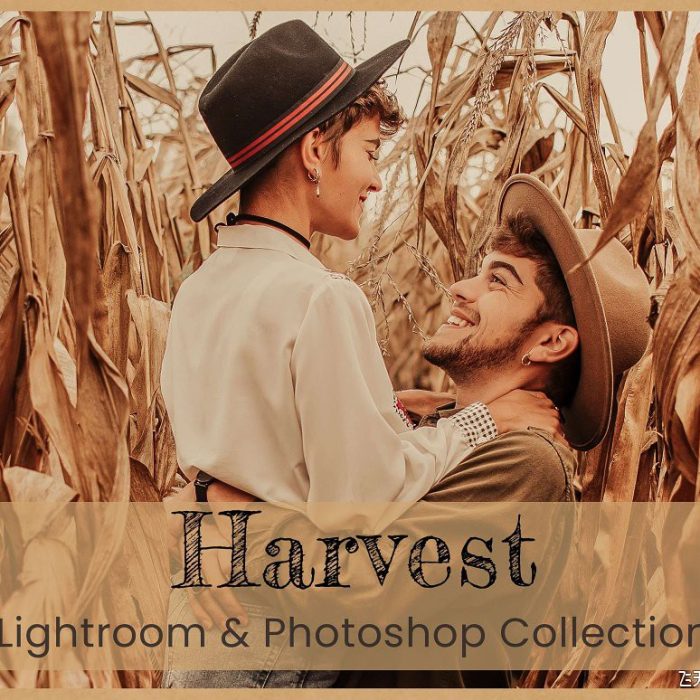 [人像LR预设]秋季人像摄影后期调色Lightroom预设及路途预设 Harvest Lightroom LUTs