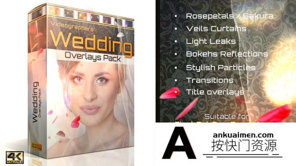 [高清视频素材][素材发布]玫瑰花瓣樱花面纱窗帘散景漏光眩光光效4K分辨率视频素材