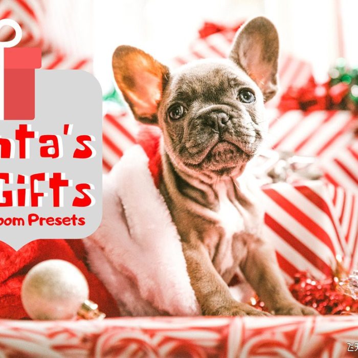 [人像LR预设]温馨暖冬圣诞节调色预设Santas Gifts Lightroom Presets