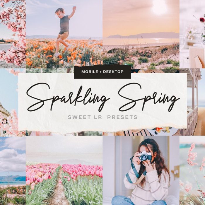[人像LR预设]梦幻优雅粉色调人像Lightroom预设与移动LR预设 Sparkling Spring LR Presets