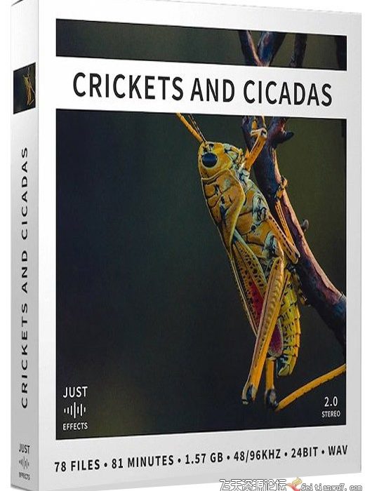 [音效素材]丛林蟋蟀,蝉和蚱蜢常见昆虫不同的声音,设计师配音音效素材