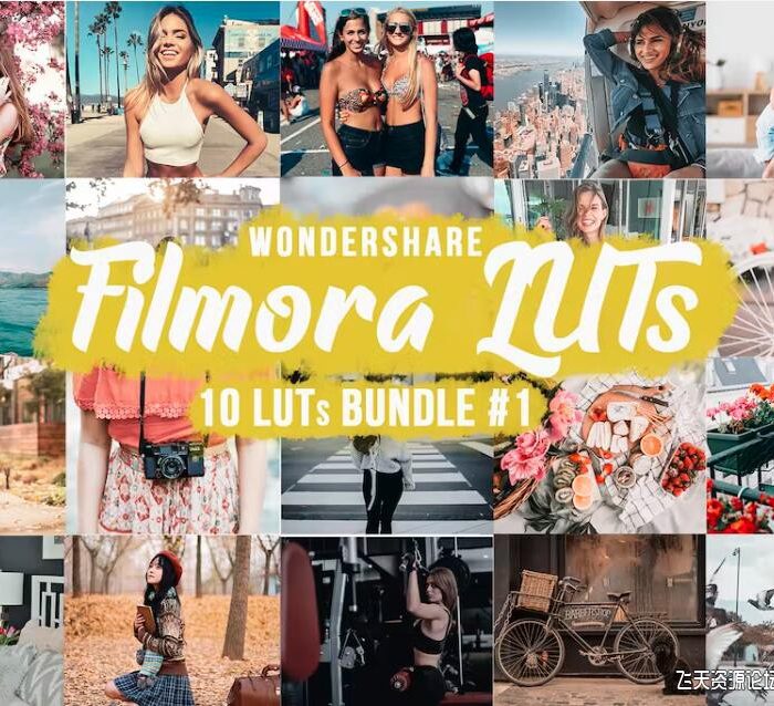 电影大片胶片人像后期调色LUT预设 Filmora LUTs Bundle#1