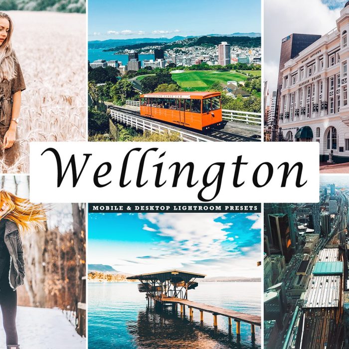[旅拍LR预设]惠灵顿温馨旅拍LR预设/移动APP预设Wellington Mobile Lightroom Presets