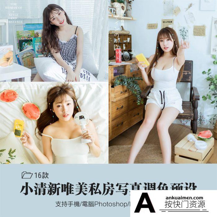 [人像LR预设]16款小清新唯美私房写真lr预设/人像后调期调色滤镜/LR预设