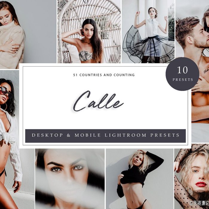 [人像LR预设]时尚中性灰人像调色Lightroom预设 Lightroom Presets, Calle Presets