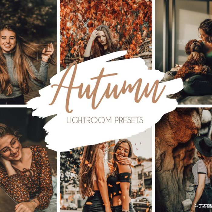 [人像LR预设]秋天色调LR预设Mobile Desktop Lightroom Presets