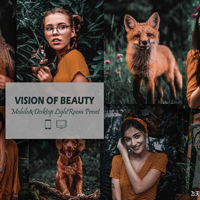 [人像LR预设]黑暗情绪森系人像Lightroom预设 12 Mobile Lightroom, Vision of Beauty