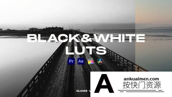 黑白电影视频颜色分级后期调色LUTs预设 支持/FCPX/PR/达芬奇