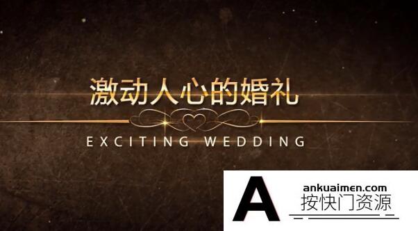 [婚礼AE模板]幸福婚礼 唯美的婚纱照电子相册ae模板