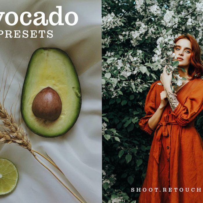 [胶片LR预设]牛油果胶片人像色调Lightroom预设+PS动作Avocado–Actions & Presets