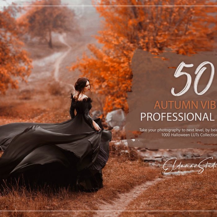 50个秋季电影色调LUT预设及Lightroom预设 50 Autumn Vibes LUTs and Presets Pack