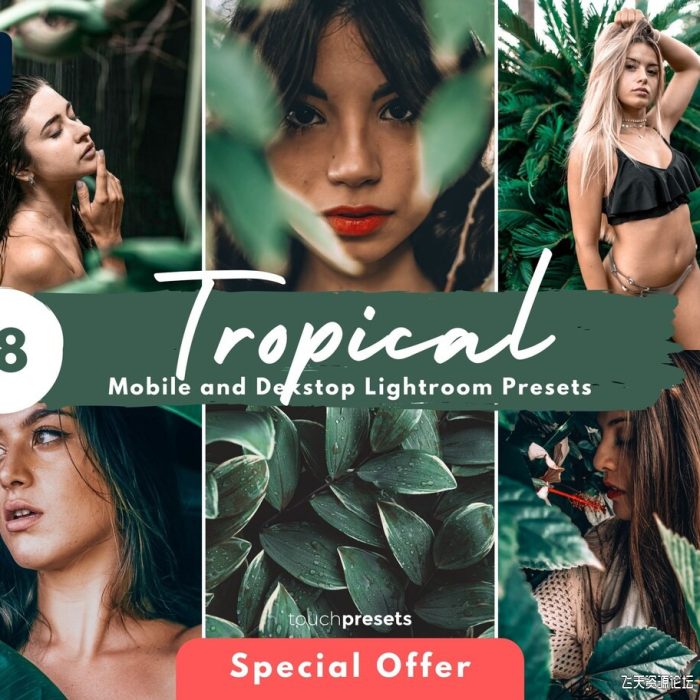 [旅拍LR预设]INS网红旅拍森系胶片人像Lightroom预设 Tropical Instagram Presets