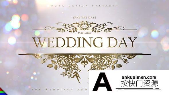 [婚礼AE模板]梦幻粒子背景婚礼相册包装片头AE模板- Wedding