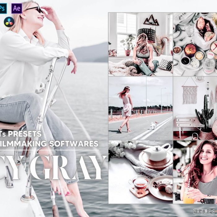 12个冰灰银色视频后期调色LUT预设 12 Icy Gray Video LUTs Presets