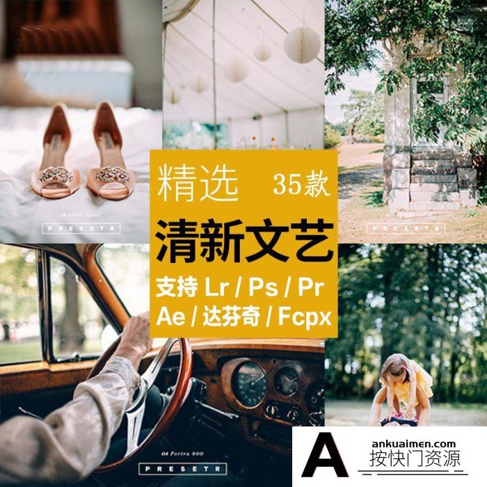 [日系LR预设]LR预设清新文艺日系森系滤镜PR/PS/FCPX/达芬奇/AE/Lut预设
