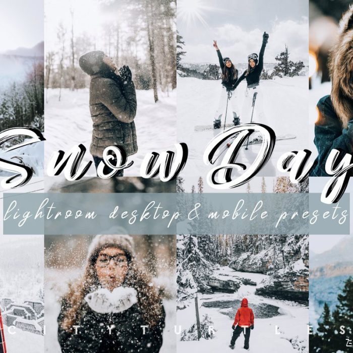 [人像LR预设]奶油色调冬季人像Lightroom预设 Vibrant SNOW DAY Lightroom Presets