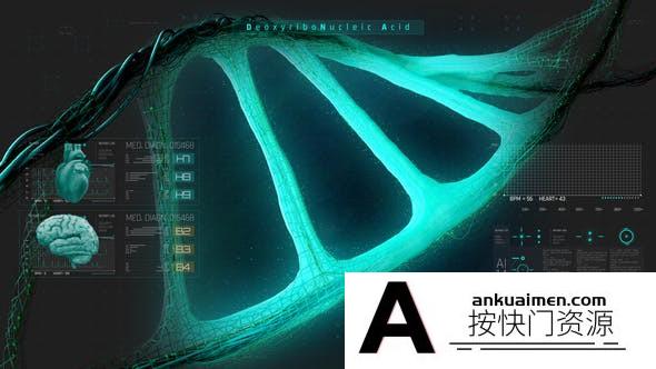 [开场片头]医疗DNA动画AE模板- HUD Medical Interface DNA