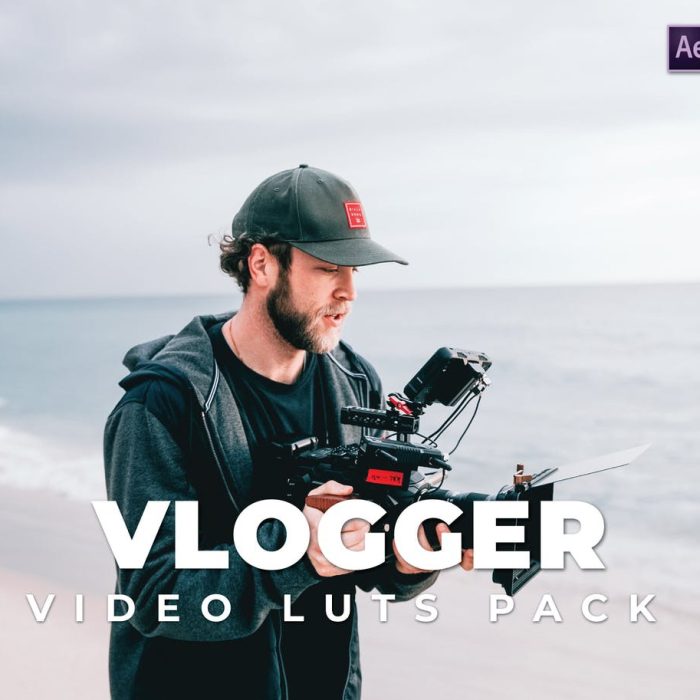 LUT预设-微电影短视频Vlog调色LUT预设第13卷 Vlogger Pack Video LUTs Vol.13