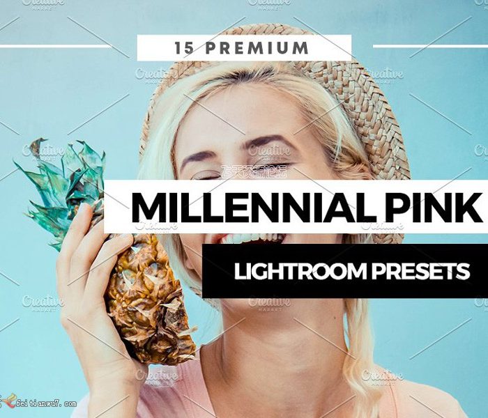 [手机版lr预设]网红博客人像Lightroom预设+手机lr预设Bloggers Lightroom CC App