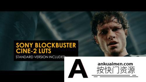 44个索尼Cine2电影大片调色LUT预设 Sony Blockbuster Cine-2 LUTs