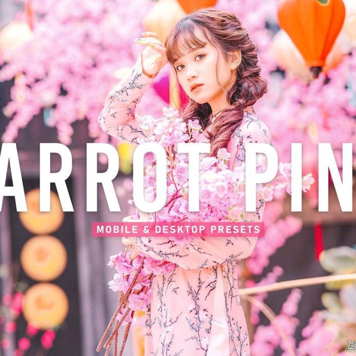 [人像LR预设]明亮粉彩古装人像调色Lightroom预设 Parrot Pink Pro Lightroom Presets