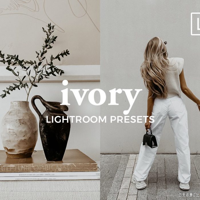 [人像LR预设]Graace Studio工作室-灰白棕色人像胶片LR预设/APP预设 Lightroom Presets IVORY