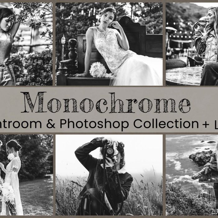 经典黑白视频调色LUT预设及LR预设 Monochrome Lightroom Photoshop LUT