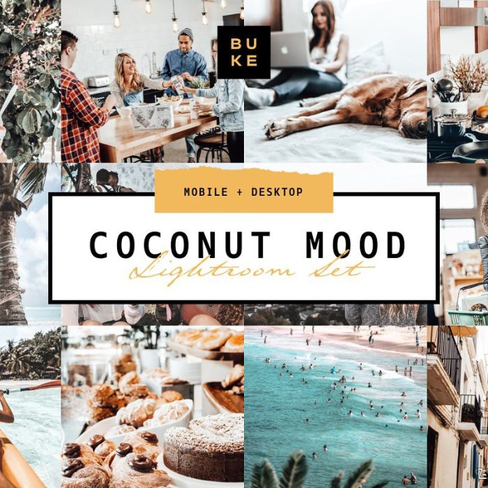 [手机版lr预设]极简主义通透明亮LR预设/手机版LR预设Coconut Lightroom Presets Pack