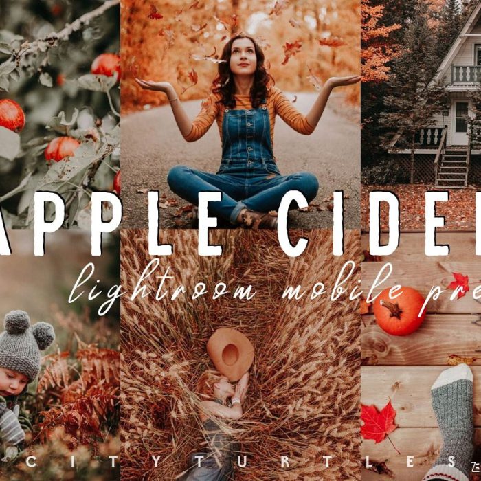 [人像LR预设]温暖琥珀秋季金色调人像Lightroom预设+手机版Lightroom APP预设
