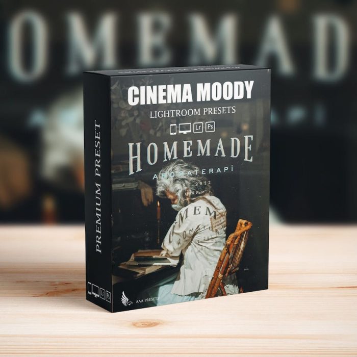 [胶片LR预设]情绪电影人像Lightroom预设 Moody Film Dark Blue Vintage Look Preset