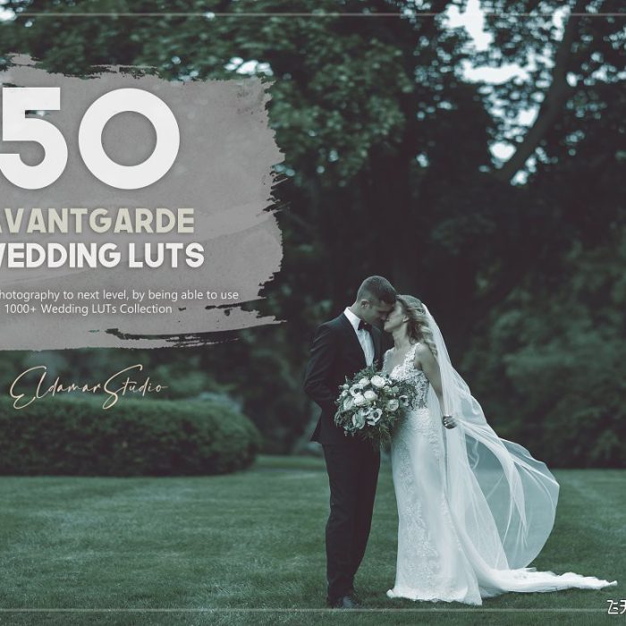 50个前卫婚礼LUT预设包旅行婚礼Vlog视频调色LUT预设