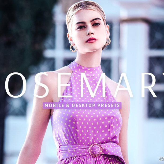 [人像LR预设]迷迭香复古胶片人像后期调色Lightroom 预设 Rosemary Pro Lightroom Presets