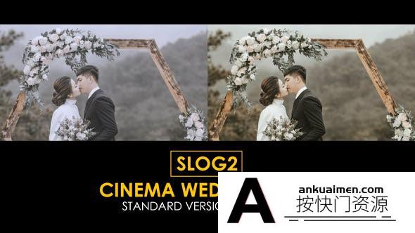 15个Slog2电影婚礼视频颜色分级LUT预设 支持/FCPX/PR/PS调色预设