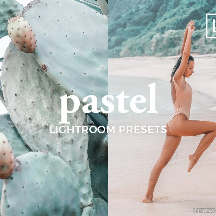 [人像LR预设]人像写真粉彩玉兰色LR预设/APP预设 4 Lightroom Presets PASTEL