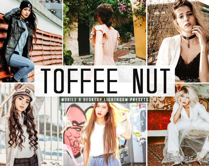 [人像LR预设]时尚奢华美女博客INS风格Lightroom预设 TOFFEE NUT Lightroom Presets