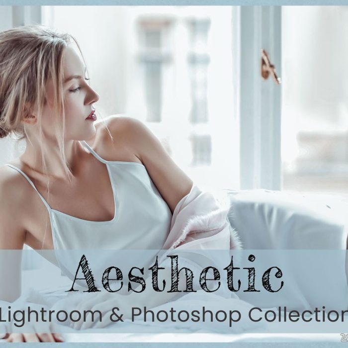 [人像LR预设]高端电影美学LR预设/LUT预设 Aesthetic Lightroom Presets+LUTs预设