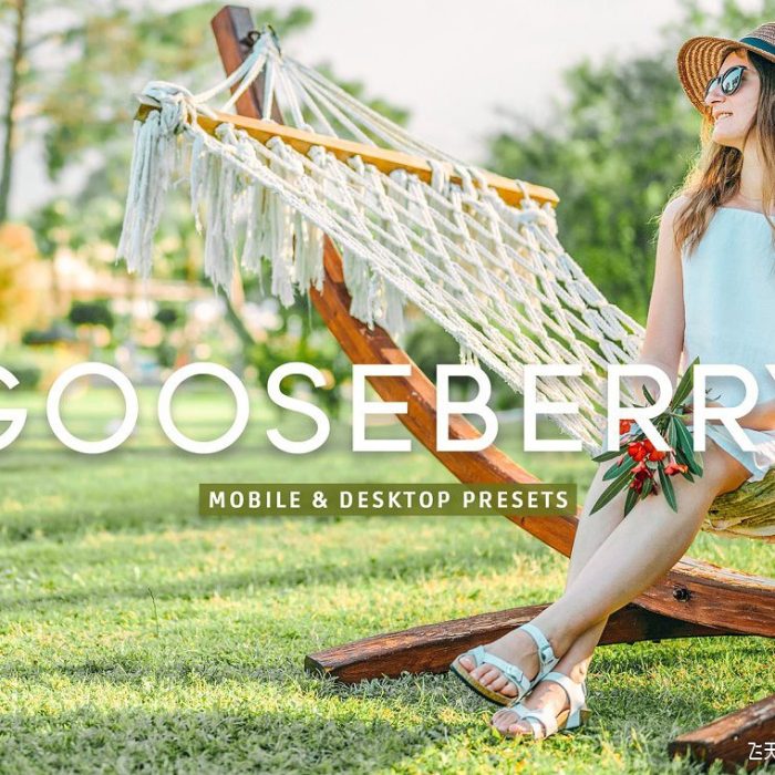 [人像LR预设]户外自然光人像调色Lightroom预设Gooseberry Pro Lightroom Presets