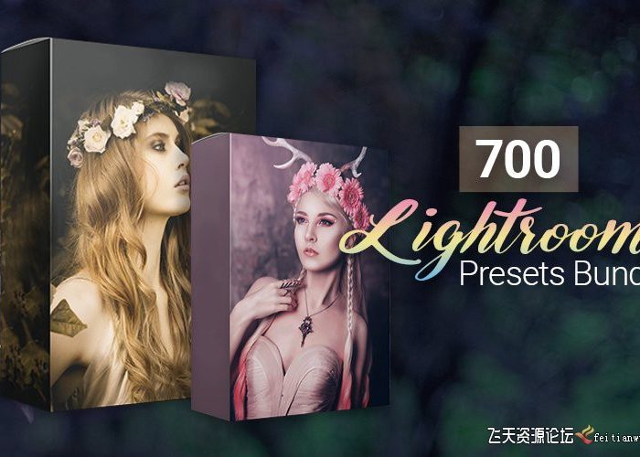 [人像LR预设]700组浪漫幻想系列Lightroom预设合集700 Amazing Lightroom Presets