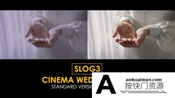 25个Slog3完美纪实电影婚礼视频调色LUT预设 支持/FCPX/PR/PS调色