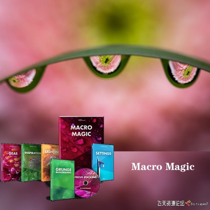 [产品静物摄影]JOSHUA DUNLOP-掌握宏观微距摄影-捕捉惊人的细节-中文字幕