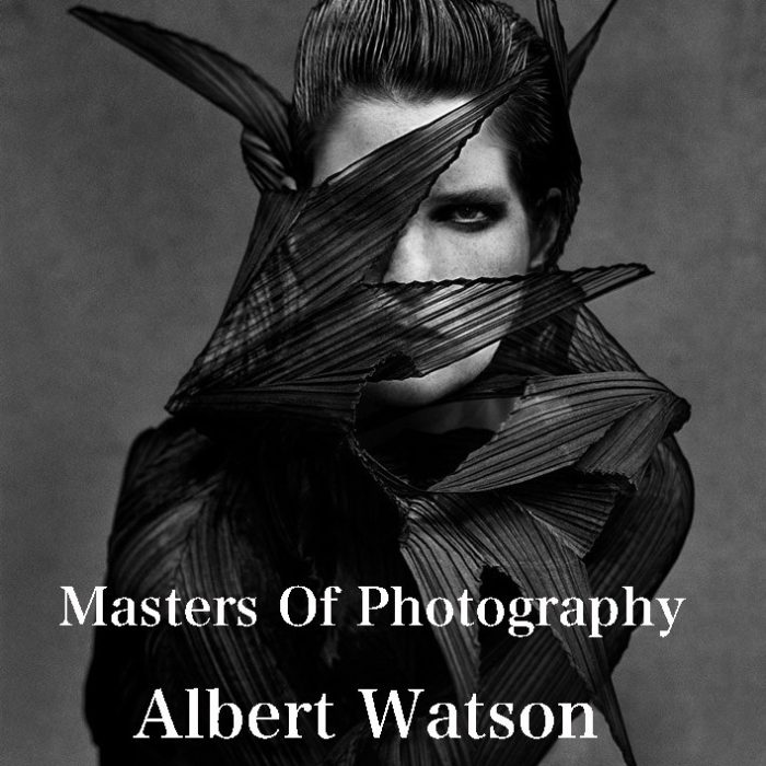 [人像摄影教程]摄影大师–艾伯特·沃森(Albert Watson)在线大师班教程-中文字幕