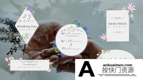 [DaVinci Resolve模板][教程发布]婚礼视频文字标题达芬奇模板 New Wedding Titles