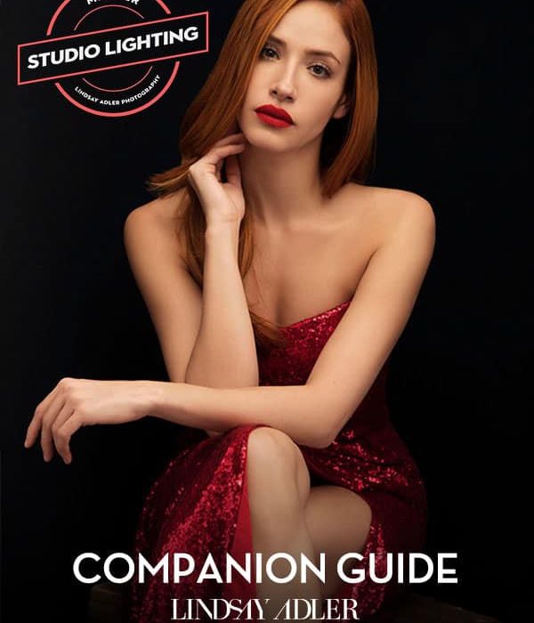 [人像摄影教程]摄影师Lindsay Adler摄影棚使用V-Flat在进行时尚人像摄影布光教程-中文字幕