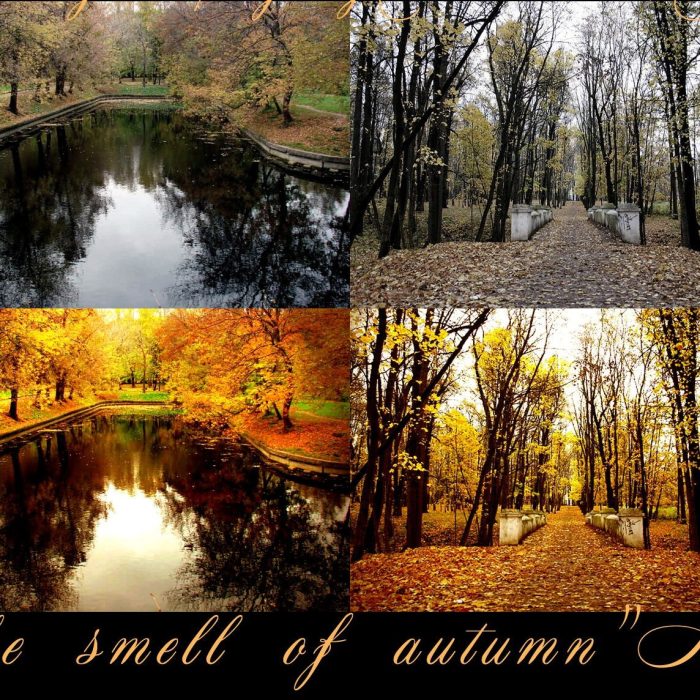 [PS动作下载][插件发布]3000个动作超大集合