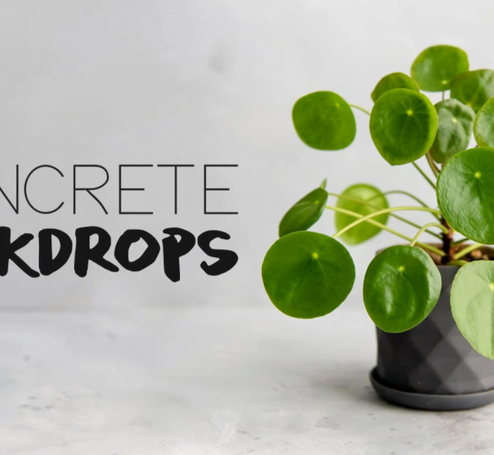 [产品静物摄影]Tabitha Park – DIY产品摄影质感混凝土背景塑造教程-中文字幕