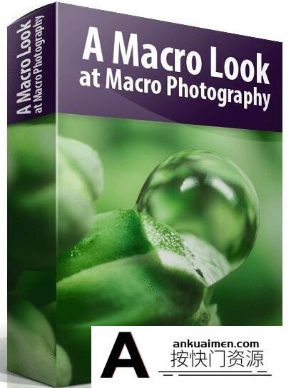 [风光摄影教程]宏观摄影微距摄影-Blake Rudis – A Macro Look at Macro Photography中英字幕